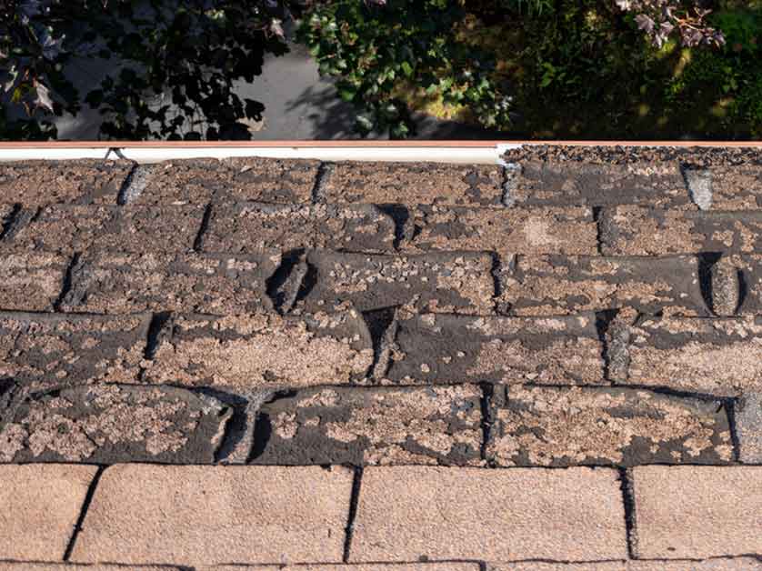 Is It Important To Know Your Roof’s Age?